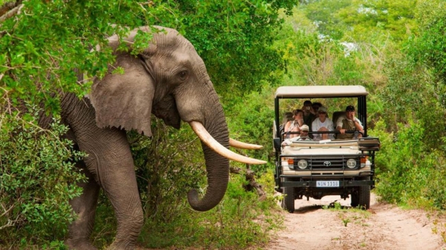 Gran Circuito Safari por Kenia y Tanzania! 