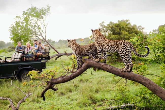 Circuito Sudfrica con Ruta Jardn - Con Safari 4x4 - Salidas Lunes de Septiembre a Diciembre