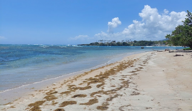 Puerto Plata, Enamorate de este destino en Republica Dominicana - Salida 21 de Noviembre 2024