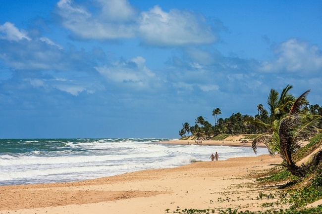 *Verano 2025* Maragogi, Salida Febrero 2025