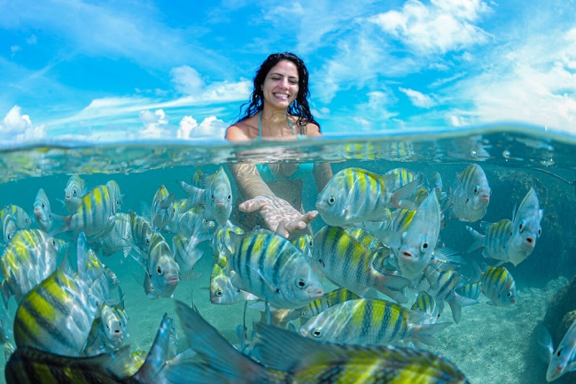 *Verano 2025* Porto de Galinhas: El Paraso Brasilero - Salida Febrero 2025